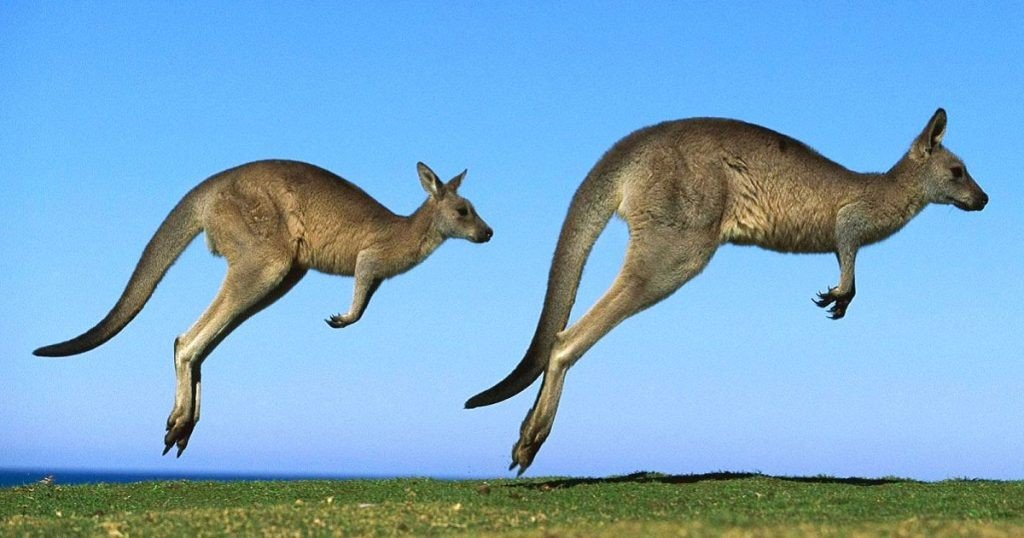 requisitos para viajar a autralia