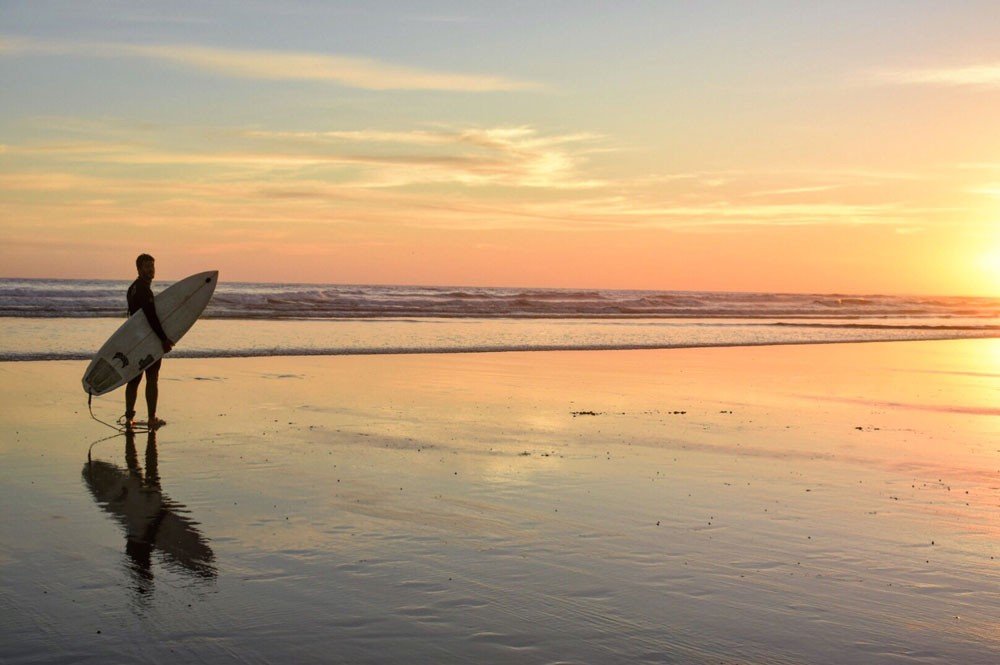 10 cursos vet australia