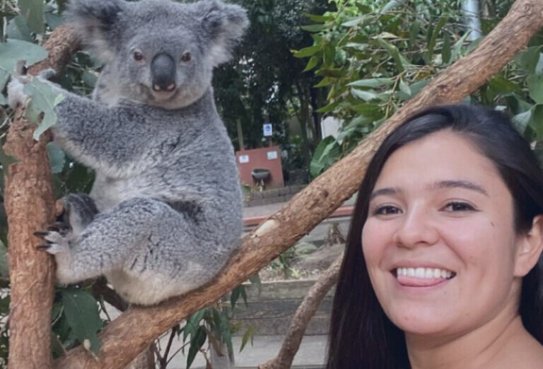 Koalas en Australia