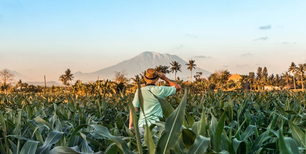 Novedades en la Work And Holiday Visa: ¡tercer año de visado!