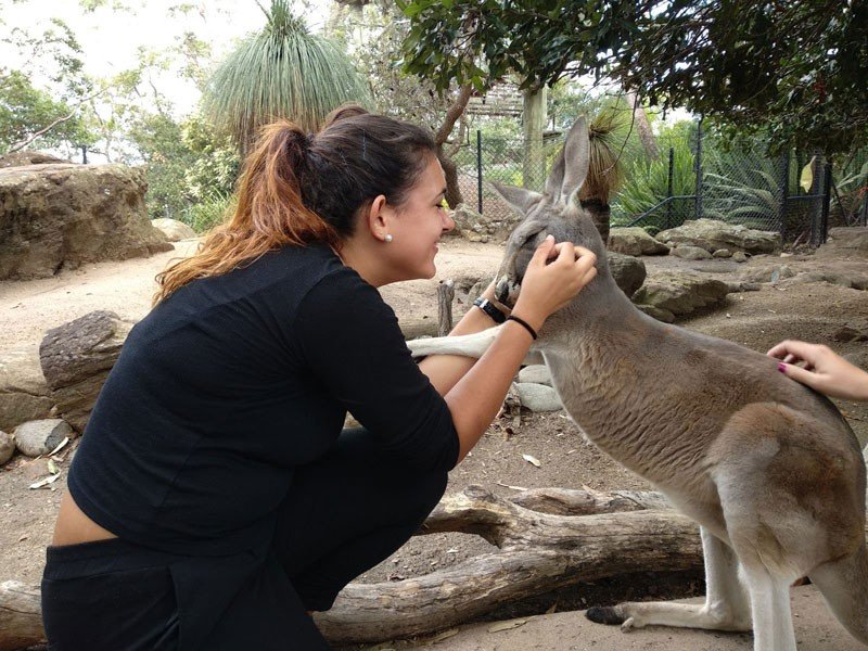 Animales Australia chica morena con coleta y vestida de negro arrodillada tocando a un canguro