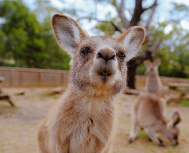 las 10 aerolineas mas sostenibles
