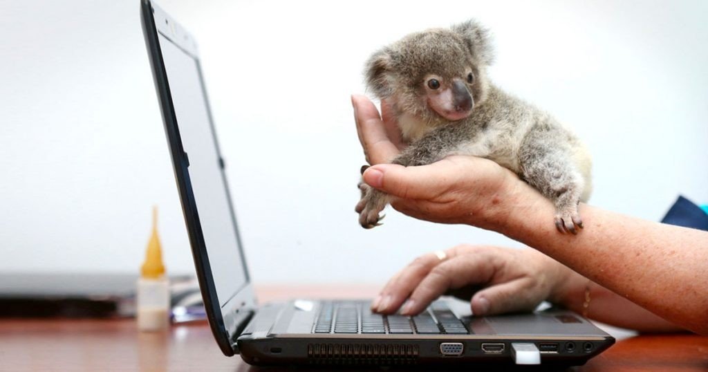 portales-y-agencias-de-empreo-en-australia